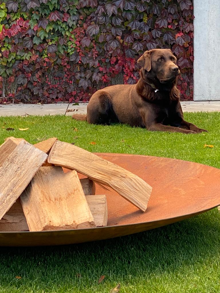 vuurschaal met hond